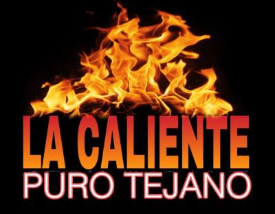 Puro Tejano Hits 